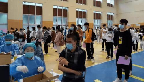 西安欣桥爆料案件最新消息,案情揭秘与进展梳理