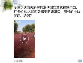 淄博网红爆料最新消息今天,今日热点事件大盘点！”
