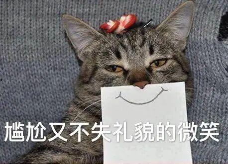 娱乐吃瓜小猫咪小说免费阅读,揭秘娱乐圈幕后风云