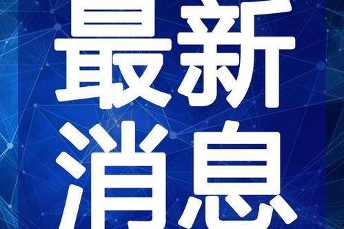 深圳阿诚爆料事件视频最新,真相揭露与网络舆论风暴
